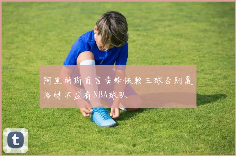 阿里纳斯直言黄蜂依赖三球否则夏洛特不应有NBA球队
