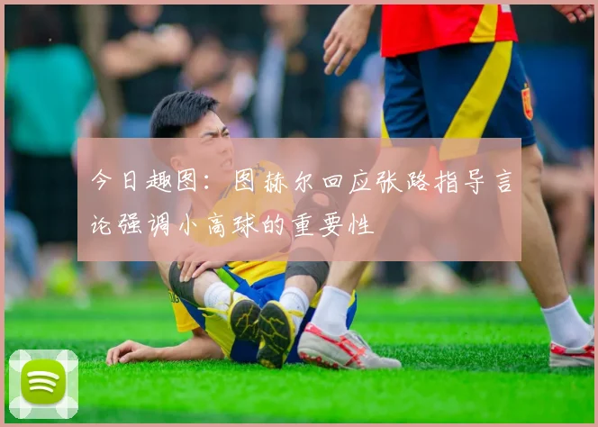 今日趣图：图赫尔回应张路指导言论强调小高球的重要性